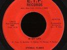 Soul Funk 45   Eternal Flames on E.T.F. ?