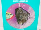 MINERAL COMPOSITION LP Comp Die Form DDAA Minimal Synth