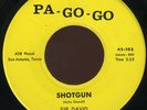 SIR DAVID & HIS KNIGHTS Shotgun TX GARAGE/SOUL 45 hear