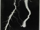 Sealed LP: White Noise: An Electric Storm