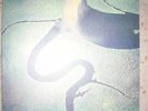 DEAD CAN DANCE - THE SERPENTS EGG  LP GOTH LISA GERRARD