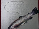 an der schonen blauen donau belgian minimal synth lp