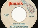 R&B Rocker - BILLY DAVIS & THE LEGENDS spunky onions