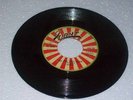 GIANT/WE ARE STILL RUDE - DANDY [R/STEADY]  7