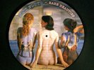 Pink Floyd Rare Beauties Picture Disc