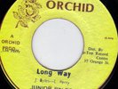 JUNIOR BYLES - LONG WAY on ORCHID label  Lee Perry   ??