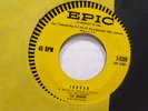 The Jaguars Jaguar/Roundabout Garage Surf Rocker 45 rpm