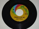 RABBIT MACKAY Tendency to be Free RARE Garage Psych 45