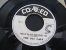 Stars in the Blue What should I Do - Dee Cals - Co Ed