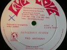 PAD ANTHONY Dangerous System digi roots 12
