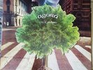 AGORA' - LIVE IN MONTREUX (ITALIAN PROG-ORIGINAL)