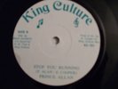 ROOTS/PRINCE ALLAN - STOP YOU RUNNING KING CULTURE 12