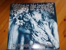 Cradle Of Filth Original Principle of evil  LP 