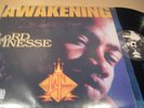 Lord Finesse - Awakening DoLP 1995