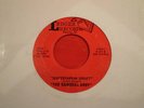 GARAGE/PSYCH Raindear Army 