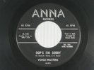 VOICE MASTERS doo-wop 45 OOP'S I'M SORRY  ANNA (Motown)