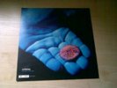  COLDPLAY BLUE ROOM EP 12