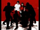 The White Stripes - White Blood Cells SE 13