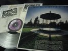 COIL horse rotorvator SIGNED CLEAR LP current 93 elph