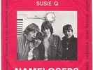 NAMELOSERS Land Of MONSTER swedish freakbeat mod psych