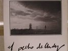 PECHO DE ANDY lp SPANISH COLDWAVE DECIMA VICTIMA dark