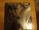 Black Moth Super Rainbow Vinyl LP, 