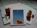 Coil - The Ape Of Naples/New Backwards 4LP