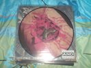 dismember - indecent & obscene PIC-LP kalmah hypocrisy