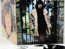 AL STEWART orange JAPAN orig LP rare  [FREE P+P]