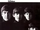 Beatles With The Beatles Mobile Fidelity Mofi 1-102mint