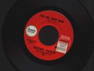 ROUND ROBIN I’m The Wolf Man orig Promo 1965 garage7