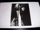 JIM MORRISON  photo  ORIGINAL  The Doors