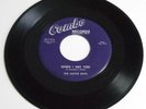 THE NATIVE BOYS When I Met You COMBO 45 *LISTEN*