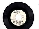 JAY & THE AMERICANS GOT HUNG UP ALONG THE WAY  U.A.DEMO