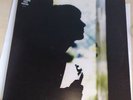 Paul Weller: Wild Wood (LP, Vinyl) + Ltd Poster Mint