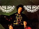 JIMI HENDRIX EXPERIENCE ARE YOU EXPERIENCED LP  TRACK