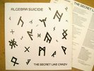 ALGEBRA SUICIDE secret like crazy LP minimal synth US