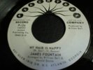 NORTHERN SOUL  JAMES FOUNTAIN  MY HAIR IS NAPPY