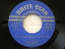 RAY GUYCE BLUES DON'T BOTHER ME BRITE STAR COUNTRY 45