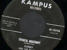 rare Rockabilly Guitar 45 RODNEY & BLAZERS Listen