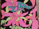 GOLDEN DAWN POWER PLANT original 1968 US psych LP NM