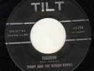 ROCKABILLY SURF -TILT-TEDDY & ROUGH RIDERS---HEAR BOTH