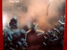 Steely Dan Katy Lied MFSL LP 1-007
