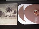 Poison the Well - The Tropic Rot - 2x12