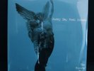 SUNNY DAY REAL ESTATE Rising Tide 2x LP (2000) SEALED
