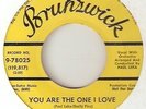 ADAMS APPLES YOU ARE THE ONE I LOVE  NORTHERN SOUL hear