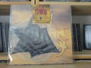 IN FLAMES – Black-Ash Inheritance NOTVD Shape-Pic RAR