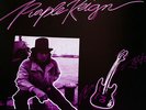 Deep Purple - Purple Reign  2 LP  JAPAN