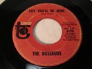 THE ROSEBUDS TOWER 105 SAY YOU'LL BE MINE -LISTEN