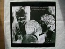 Jon Spencer Blues Explosion 